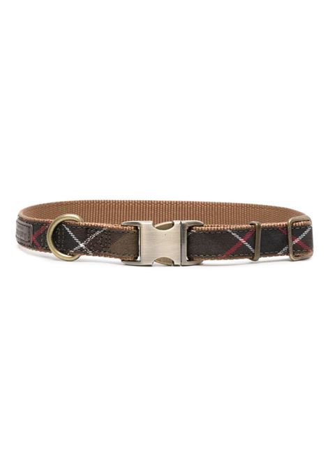 Multicolored tartan webbing dog collar  - dogs BARBOUR | DAC0005TN11