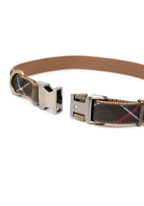 Multicolored tartan webbing dog collar  - dogs BARBOUR | DAC0005TN11