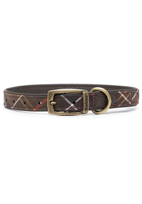 Multicolored tartan webbing dog collar  - dogs BARBOUR | DAC0008TN11